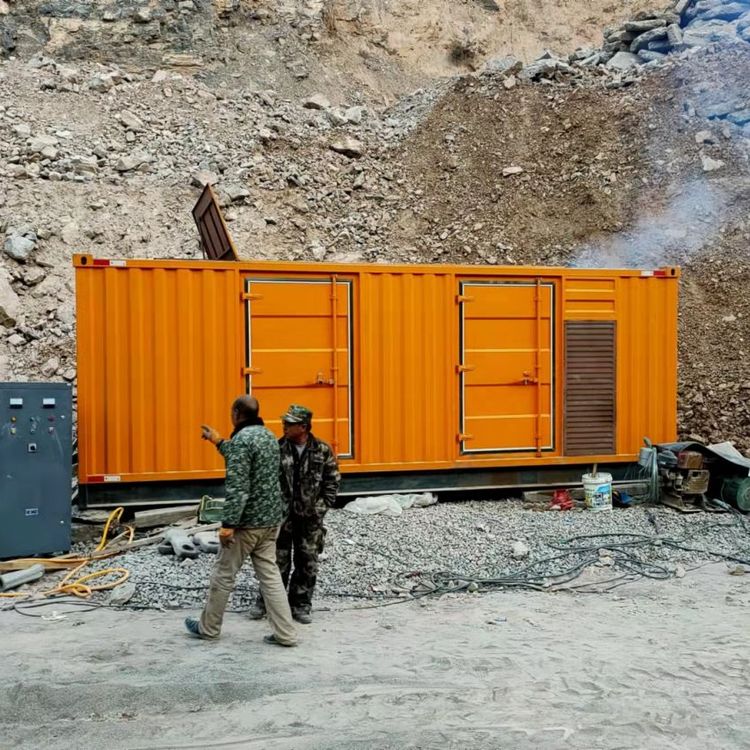 嘉黎如何选择适合自己的 800KW 柴油发电机组?